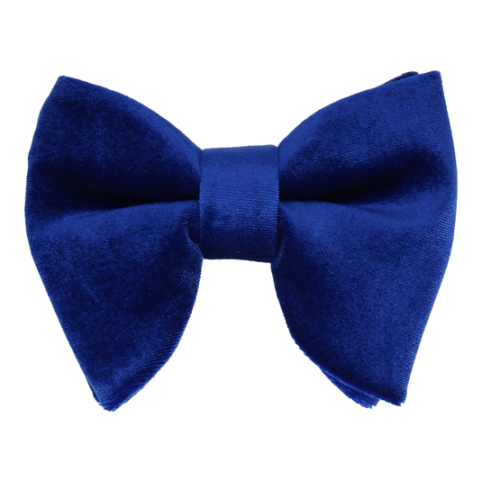 Royal Blue Velvet Large Evening Bow Tie