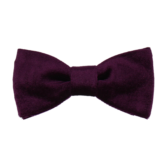 Royal Purple Velvet Bow Tie