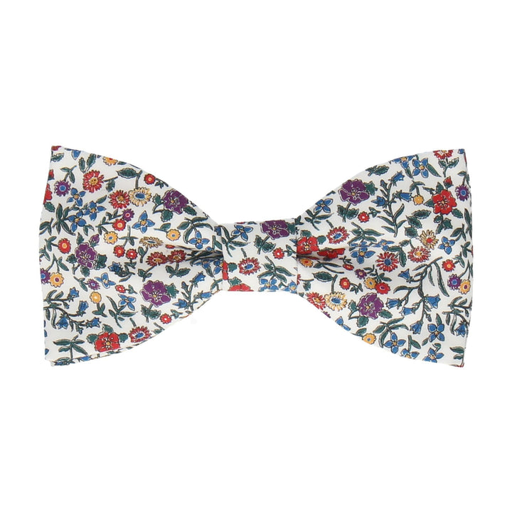 Multicoloured Bow Ties for Sale Online