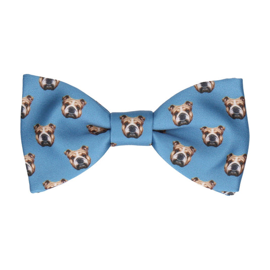 Blue Bulldog Face Bow Tie - Bow Tie with Free UK Delivery - Mrs Bow Tie
