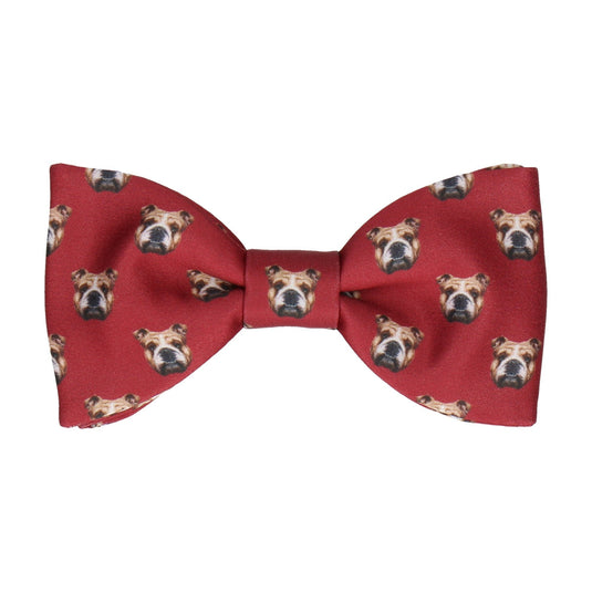 Bulldog Face Red Bow Tie - Bow Tie with Free UK Delivery - Mrs Bow Tie